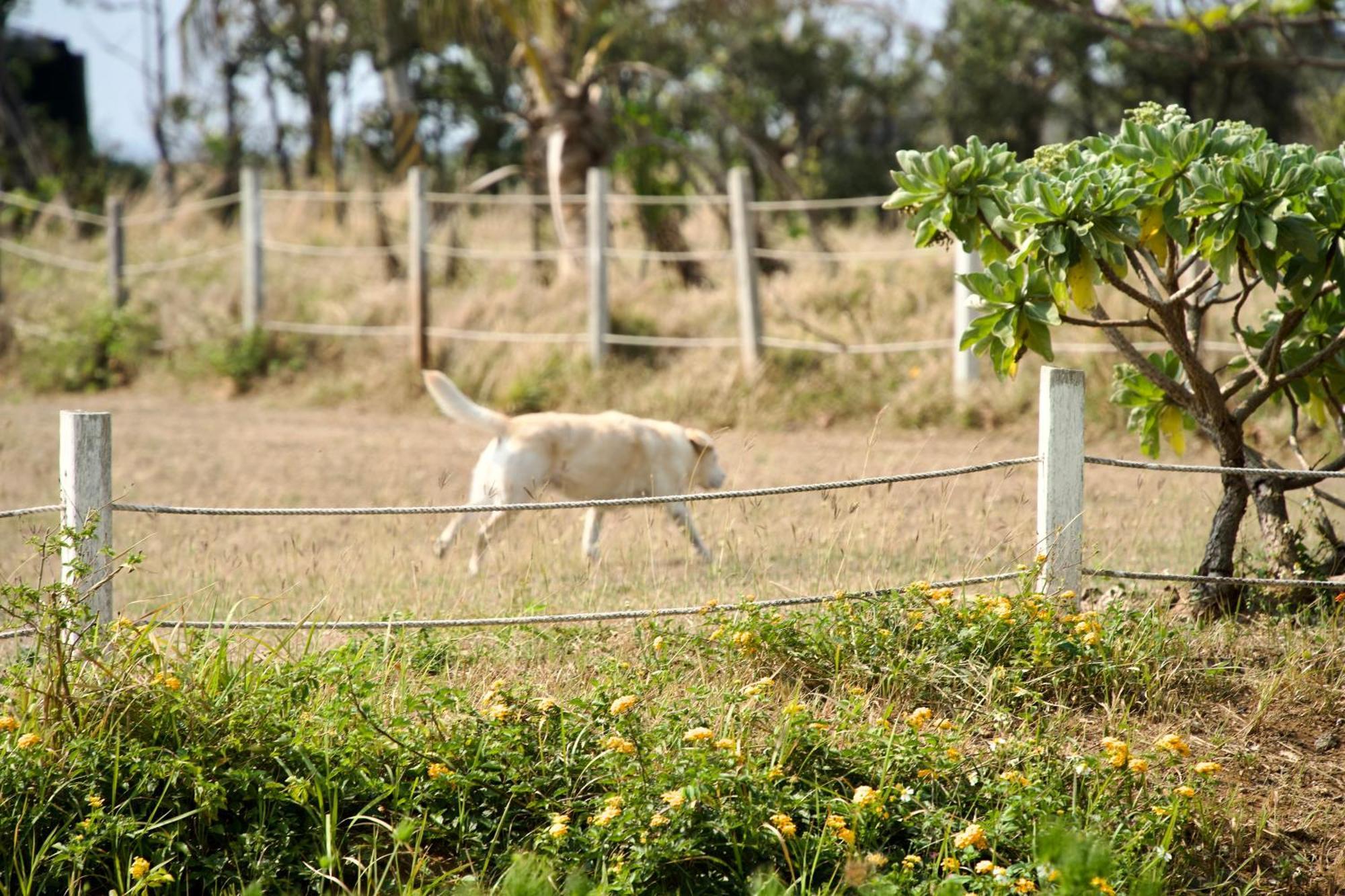 Kenting Comic B&B&Spring Heng-ch'un Esterno foto
