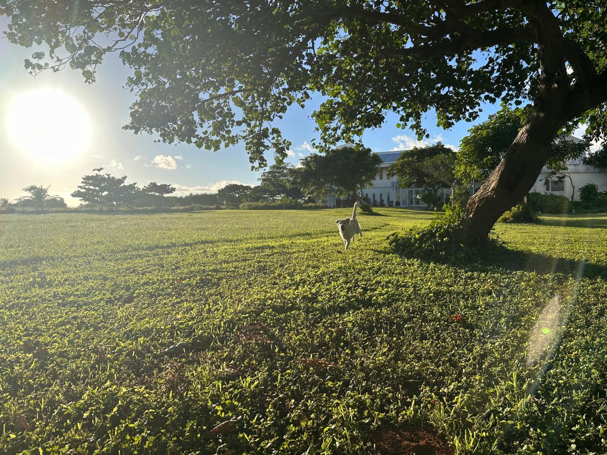 Kenting Comic B&B&Spring Heng-ch'un Esterno foto